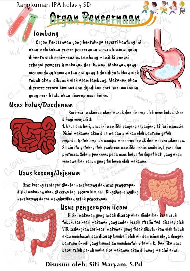 the diagram shows different types of organs and their functions in this graphic, there is an image