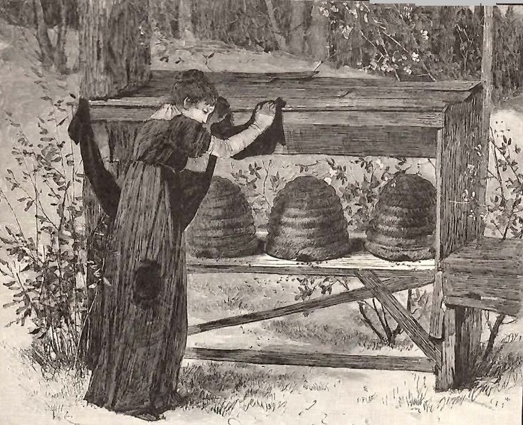 an old black and white drawing of a woman standing in front of some beehives