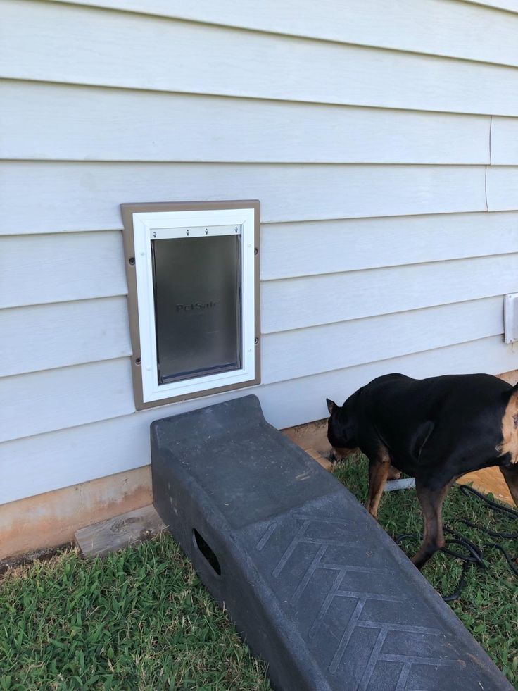 a dog is standing in the grass next to a house with a cat door on it's side