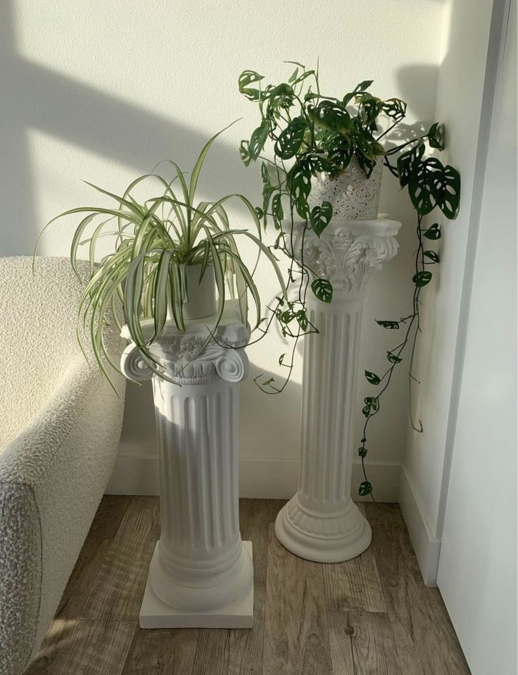 two white vases with plants in them on a wooden floor