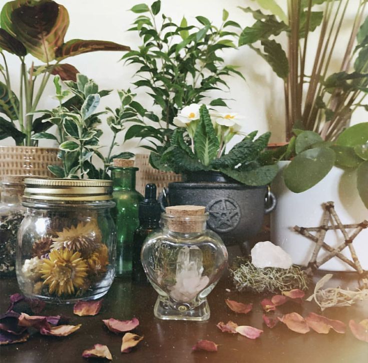 Green Witch Desk Wiccan Aesthetic, Cottage Witch Aesthetic, Green Witch Aesthetic, Types Of Witchcraft, Witchcore Aesthetic, Witchy Cottagecore, Cottagecore Witch, Types Of Aesthetics, Witch Room