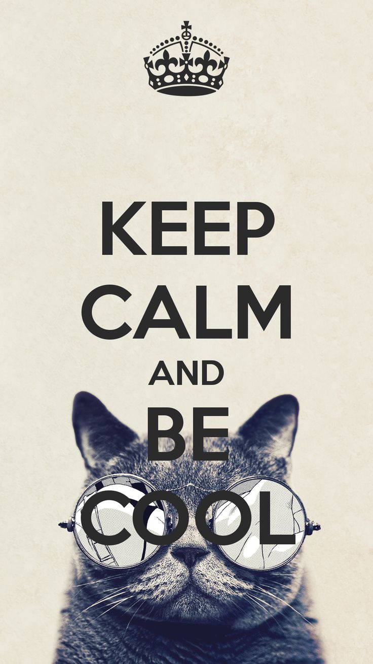 a cat wearing glasses with the words keep calm and be cool