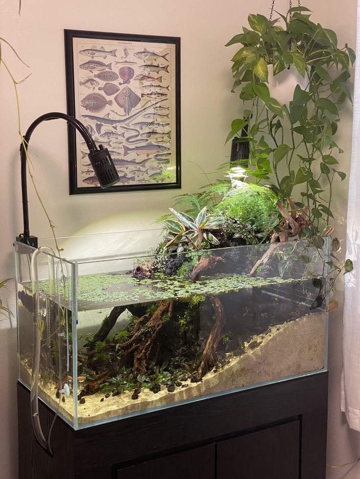 a fish tank filled with plants and water in front of a wall mounted planter