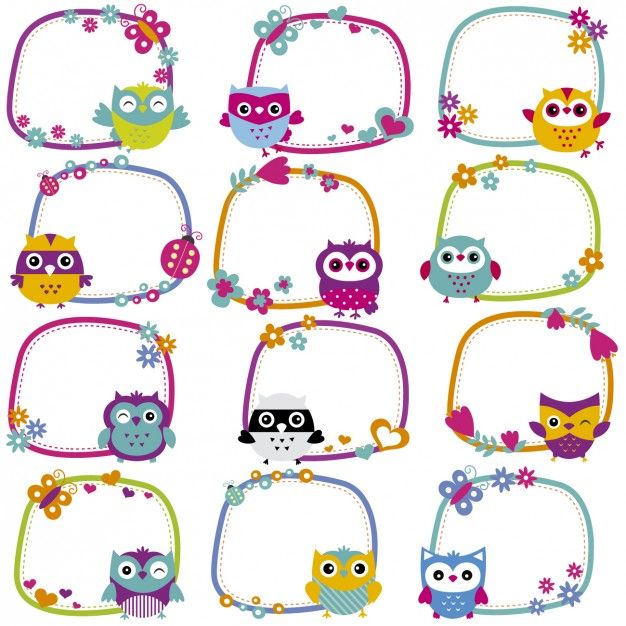 colorful owls with flowers and frames for text or photos on a white background stock photo - image