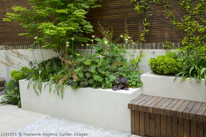 an outdoor garden with various plants and wooden benches