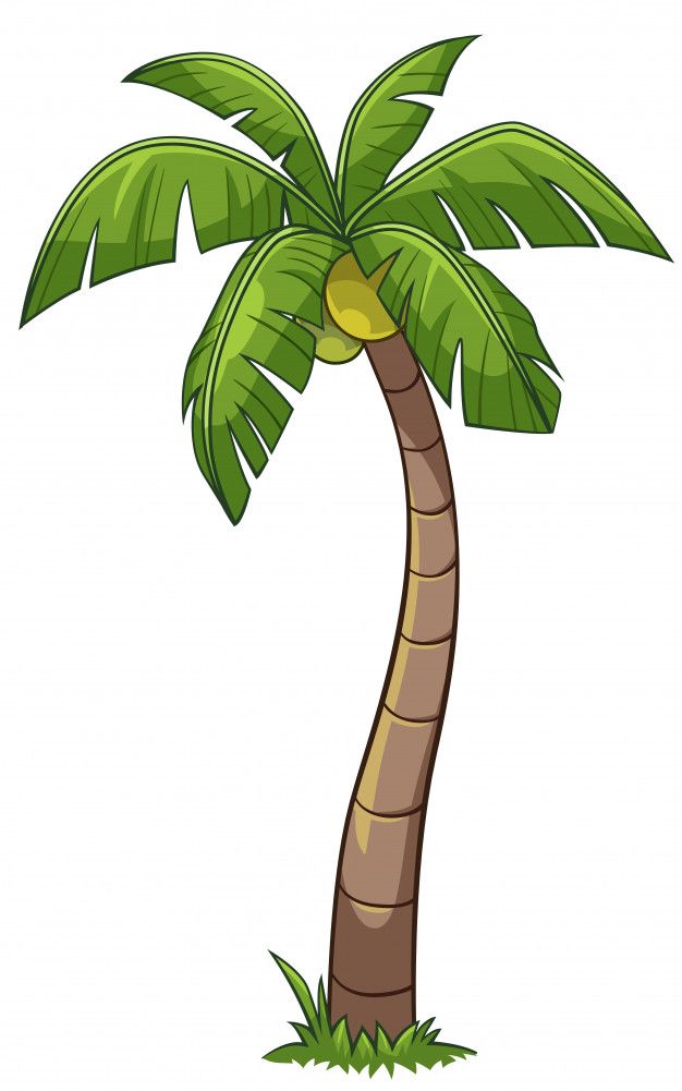 a cartoon palm tree with green leaves