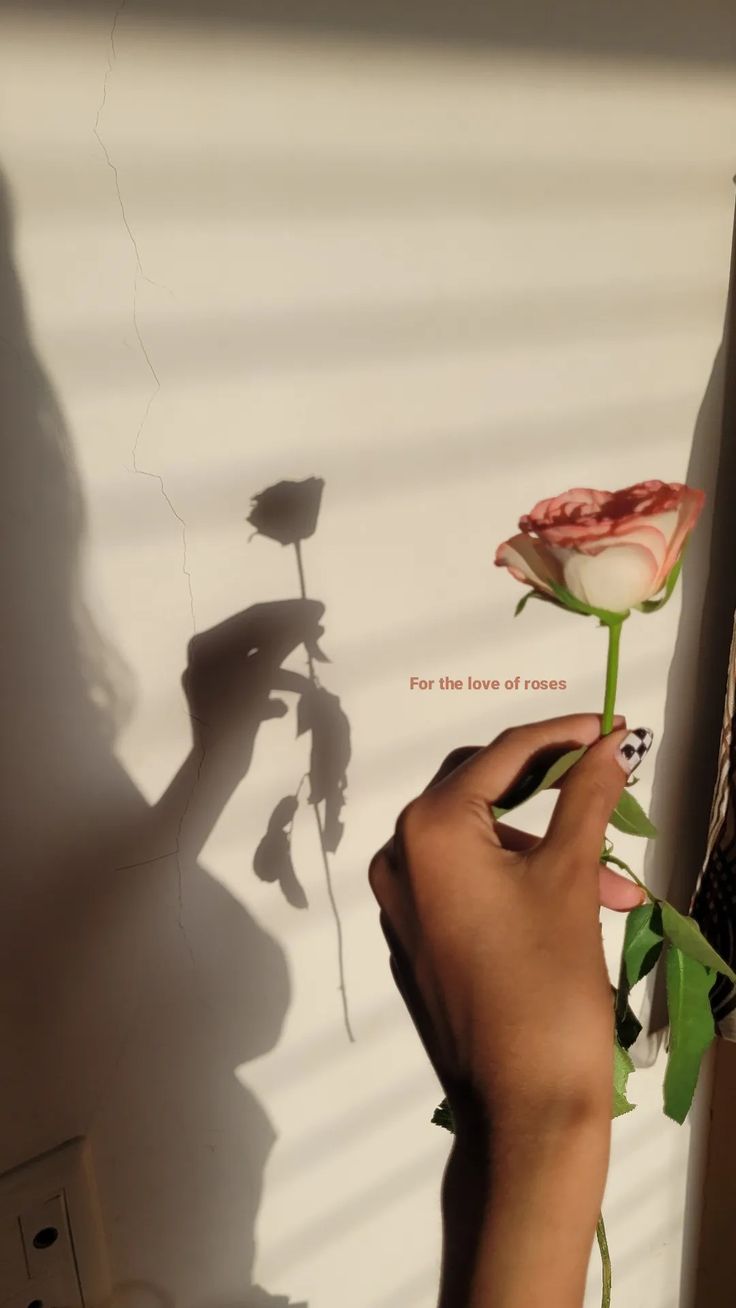 a person is holding a flower in their hand and shadow on the wall behind them