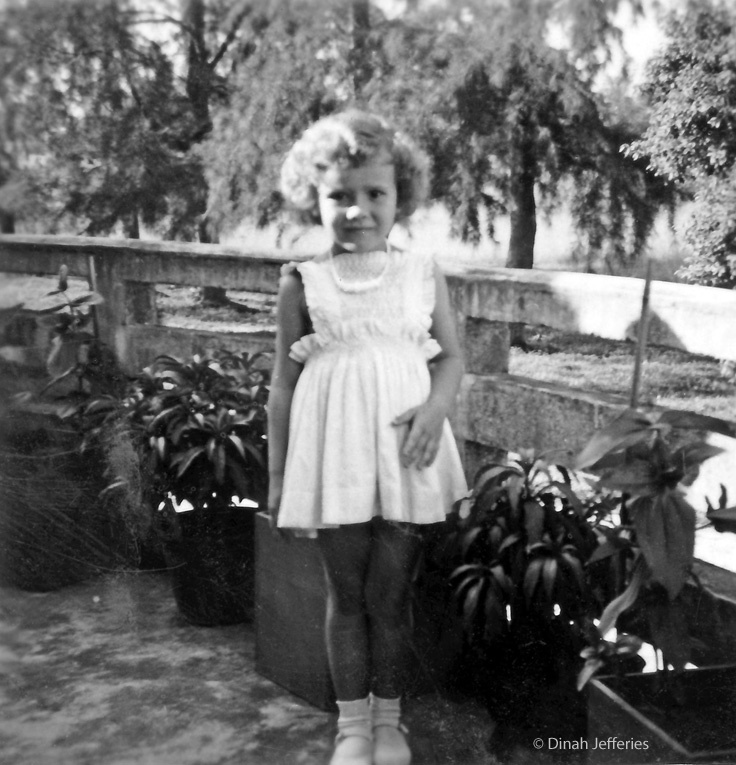 Dinah on patio in Malaya Authors, Penguins, Family Photos, England, Patio, Patios