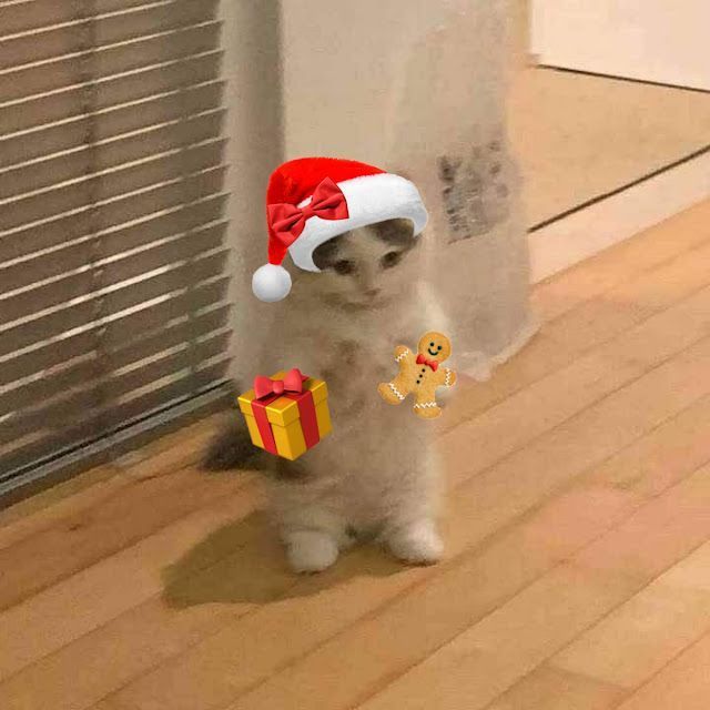 a cat wearing a santa hat and holding a gift