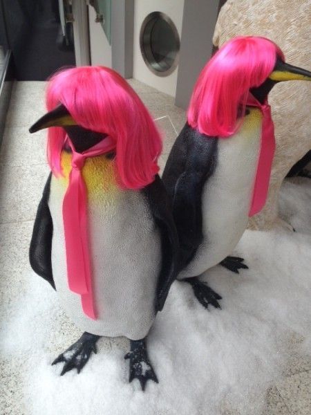 two penguins with pink wigs are standing next to each other