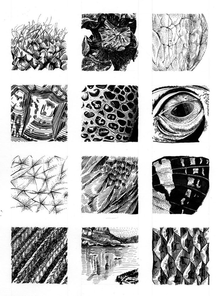 black and white drawings of different shapes and sizes