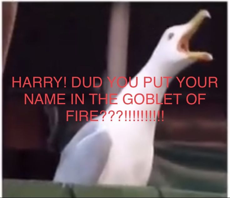 a white bird with its mouth open and the words harry did you put your name in the goblet of fire?