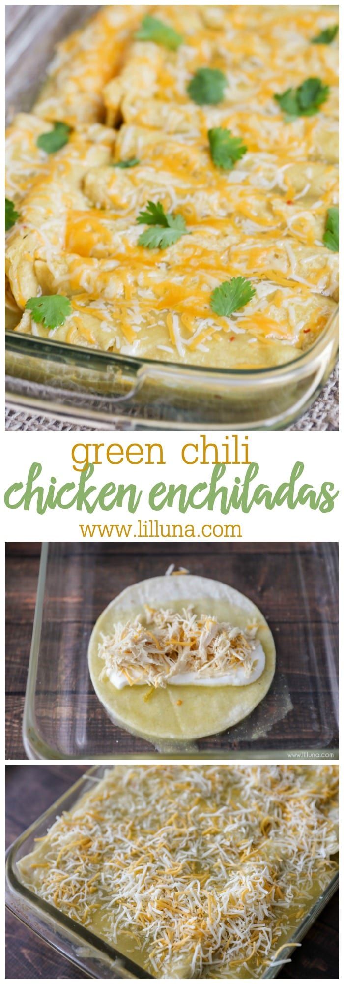 green chili chicken enchiladas in a casserole dish with cheese on top