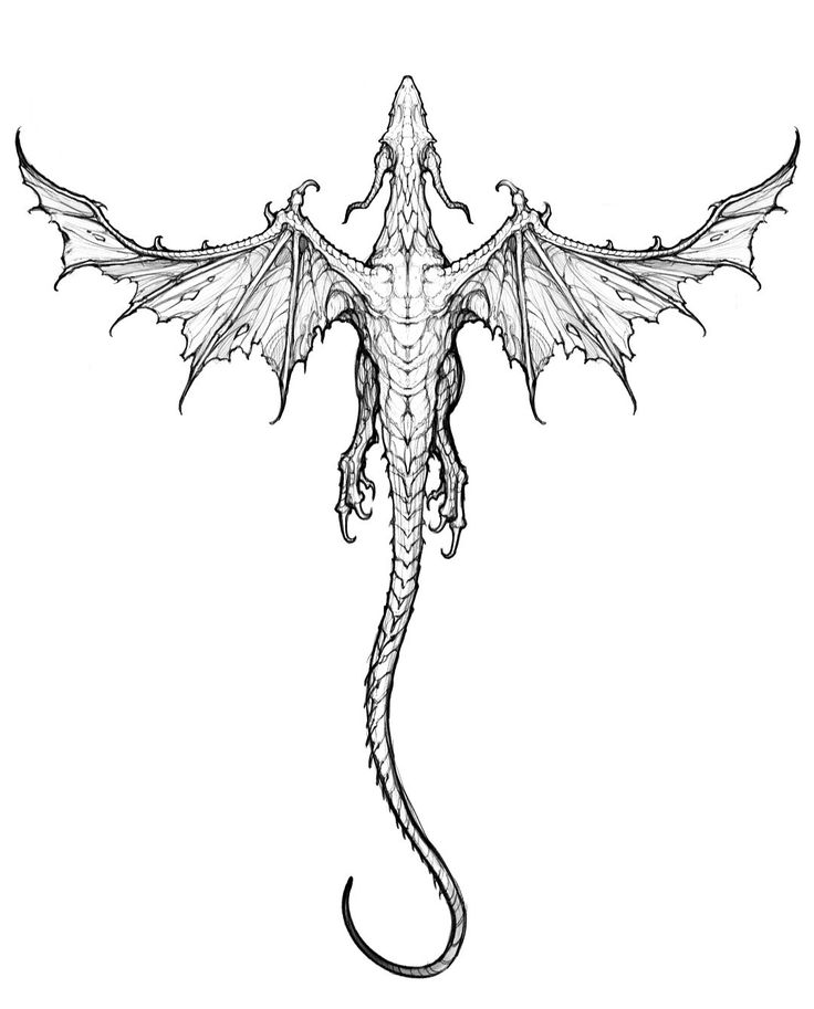 a black and white drawing of a dragon's head with its wings spread out