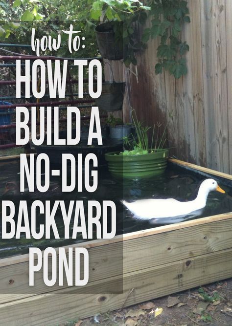 a backyard pond with a duck in it and the words how to build a no - dig backyard pond