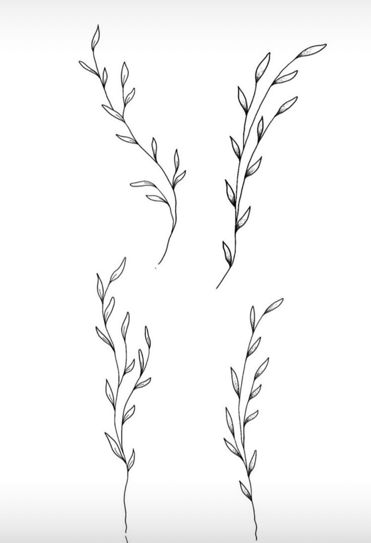 three branches with leaves drawn on them