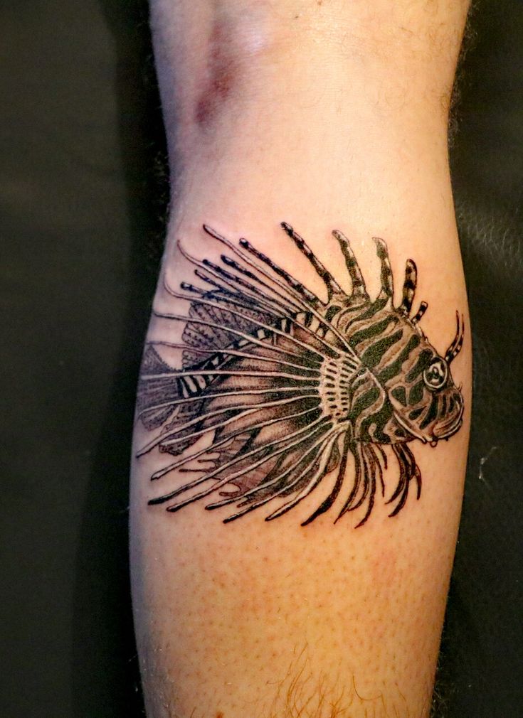 a black and white photo of a lionfish tattoo on the left calf's leg