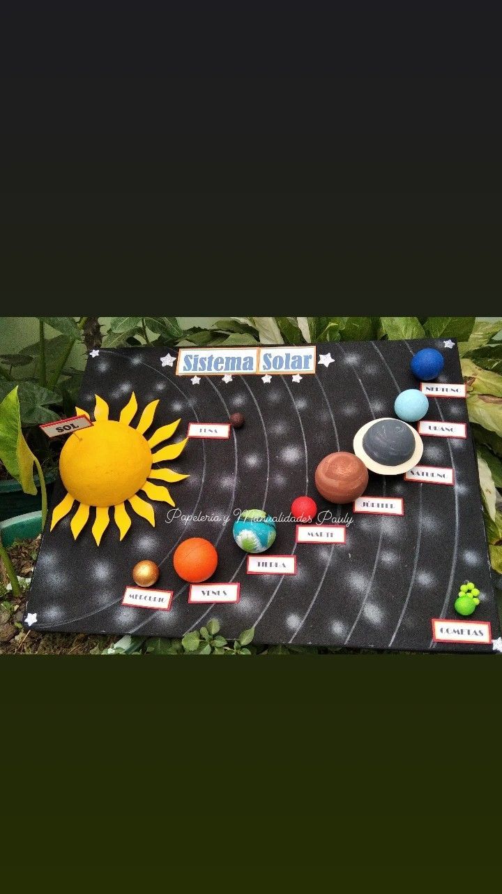 a solar system is shown with the sun and planets on it in front of some plants