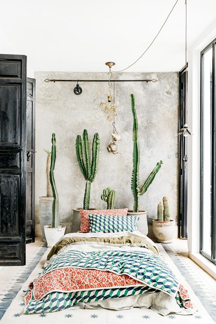 a bed room with a neatly made bed and cactus