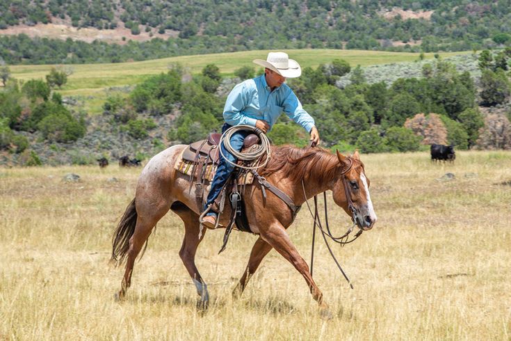 a man riding on the back of a brown horse across a dry grass covered field