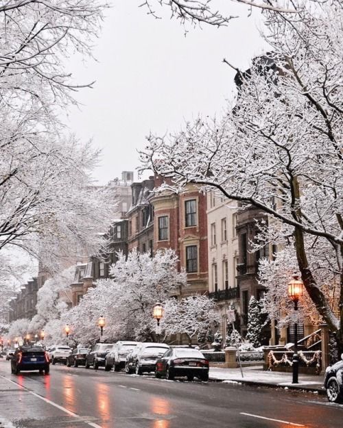 cars are parked on the street in front of some buildings and trees covered with snow