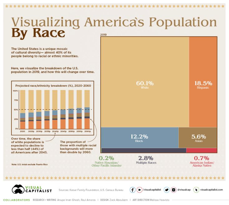 American Race Demographics Pie Chart