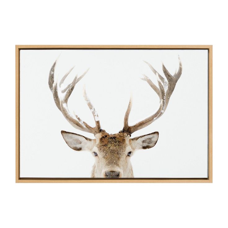 a deer's head with antlers is framed in a wooden frame on a white wall