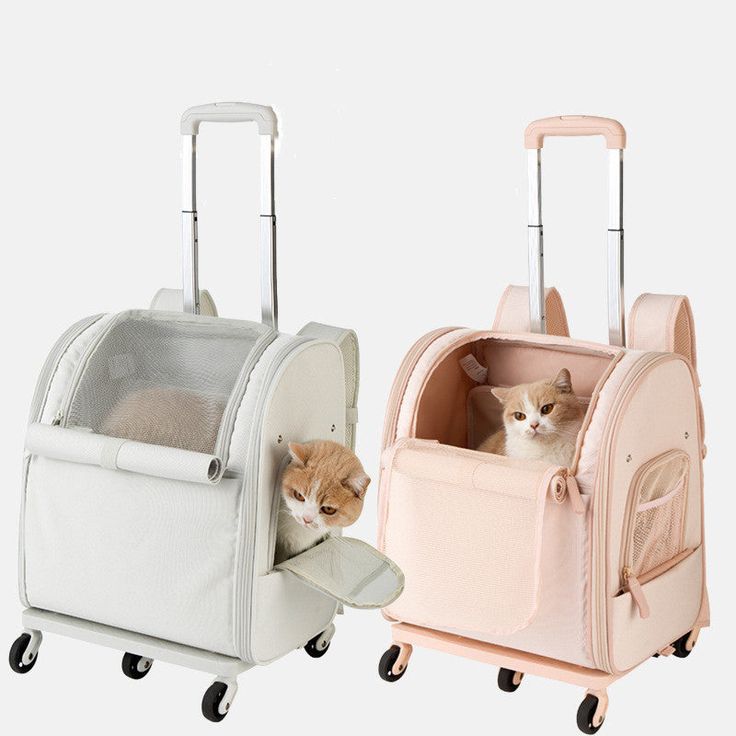 two cats are sitting in their pet carriers, one is pink and the other is white