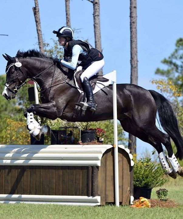 a person jumping a horse over an obstacle