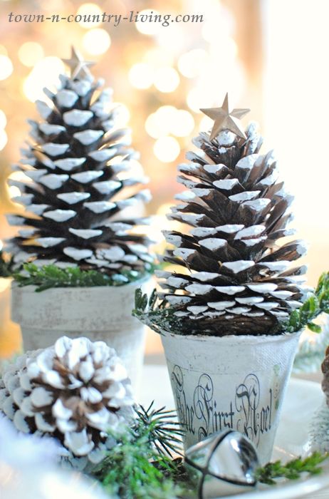 pine cones are sitting in small white pots