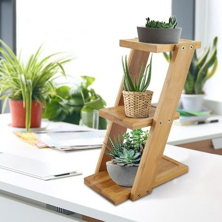 three tiered wooden plant stand with succulents