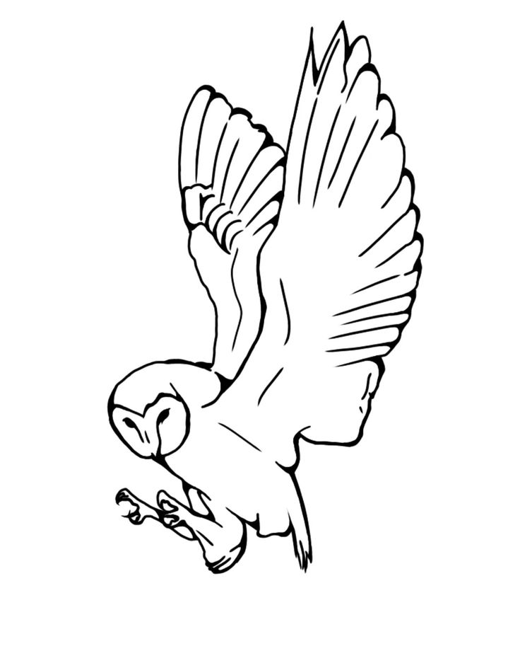 a black and white drawing of a bird flying