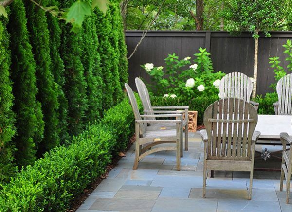 an outdoor patio with chairs and table surrounded by greenery