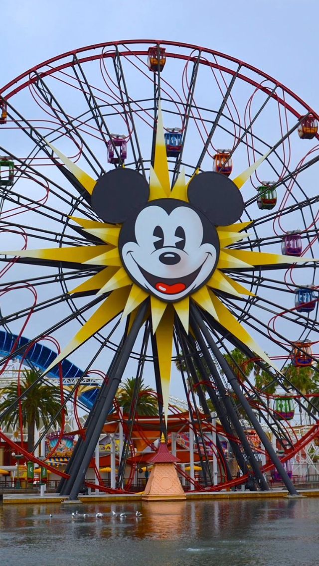 an amusement park with a ferris wheel and mickey mouse face