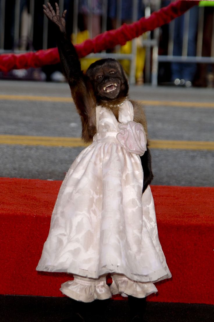 a fake monkey dressed in a white dress and holding her arms up to the sky