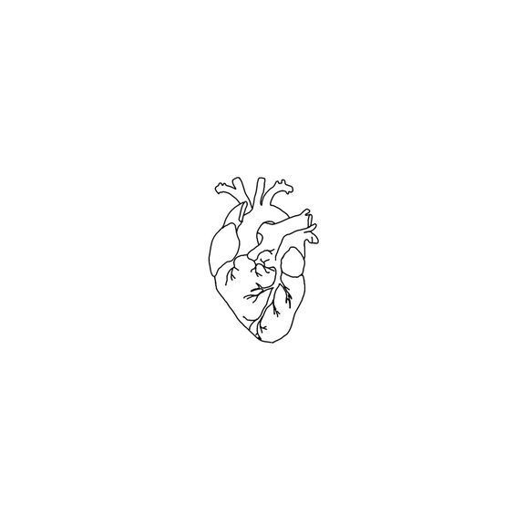 a black and white drawing of a human heart