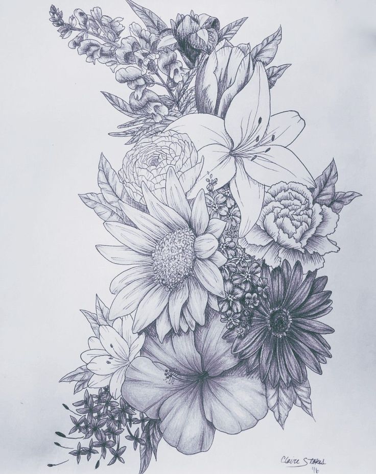 a pencil drawing of flowers and leaves