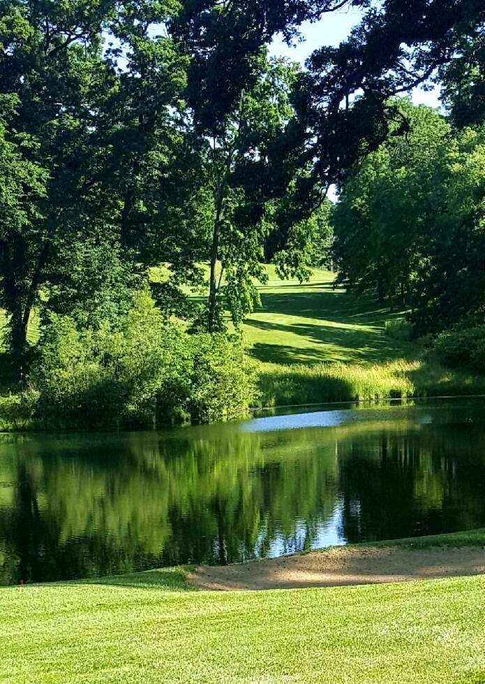 a pond in the middle of a lush green park