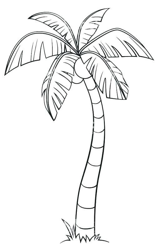 a palm tree that is outlined in black and white, with no leaves on it