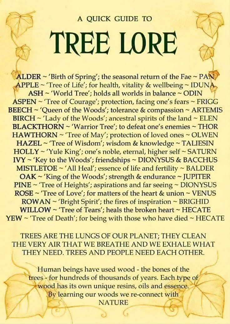 the tree lore is written in an old style with leaves and other things on it