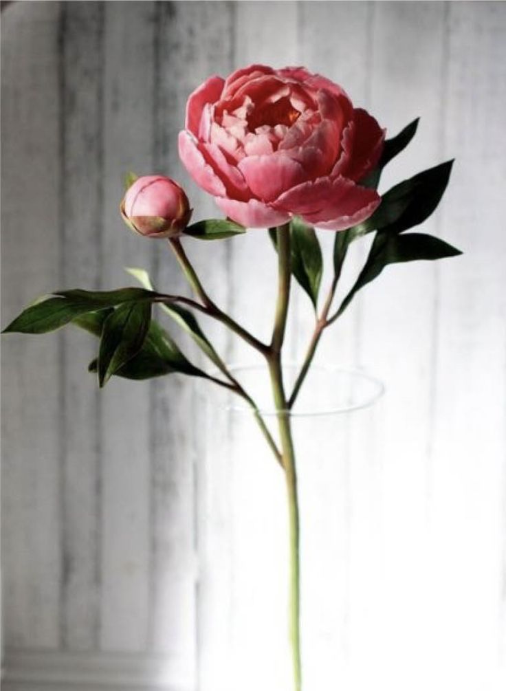 a single pink flower in a glass vase on a table with white wall behind it