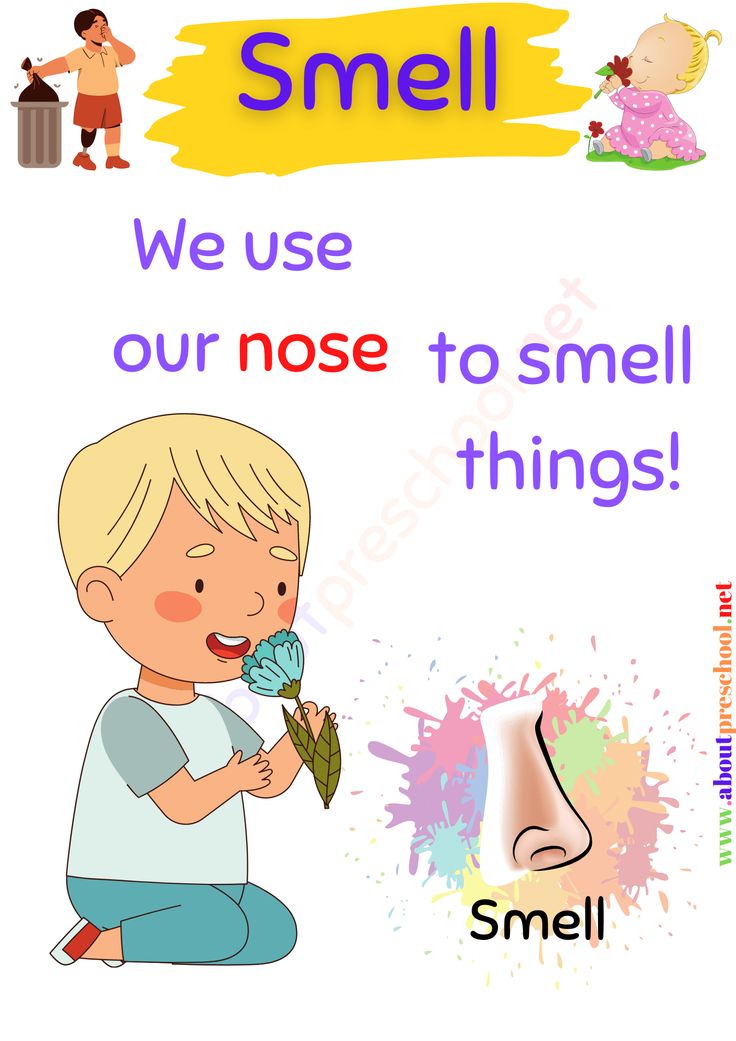 The 5 Senses-Smell 5 Senses Lesson Plan, 5 Senses Activities Kindergarten, Kindergarten 5 Senses, 5 Senses Activities For Preschoolers, Body Kindergarten, Body Parts Preschool Activities, 5 Senses Activities, Senses Preschool, The 5 Senses