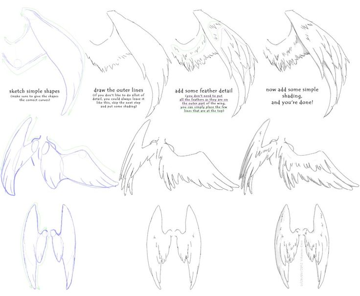 how to draw angel wings with different angles and shapes for each wing, from the top view