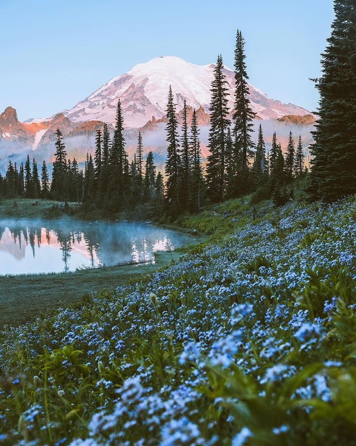 a mountain covered in snow next to a lake with blue flowers on the ground and trees