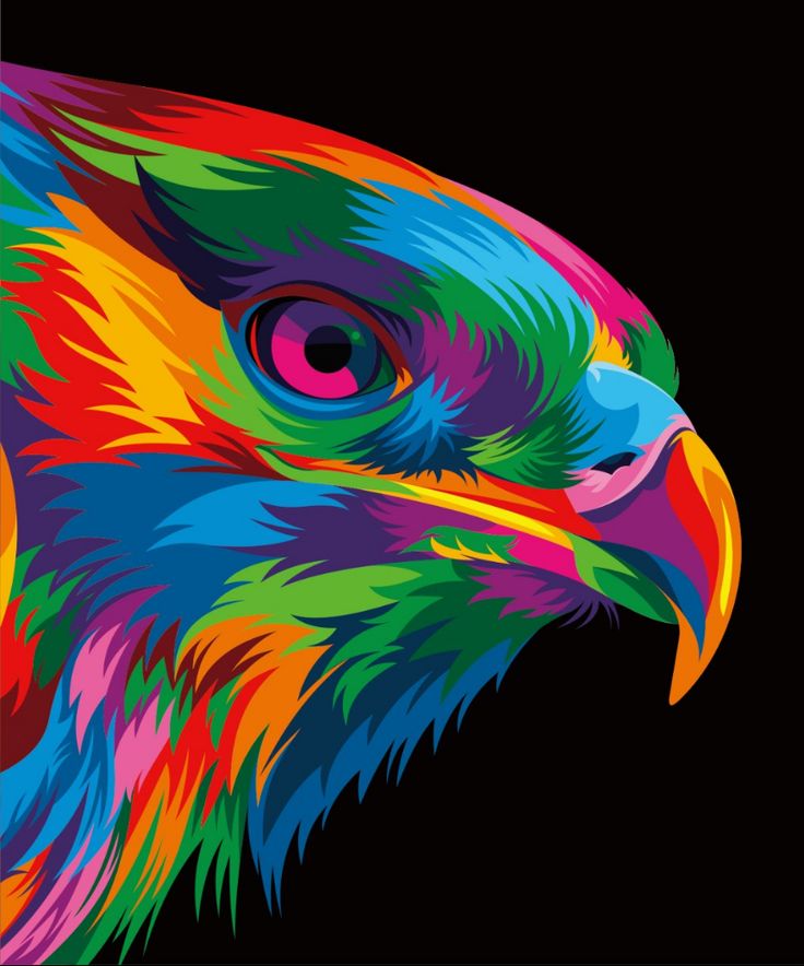 a colorful bird with an open beak on a black background is featured in the image