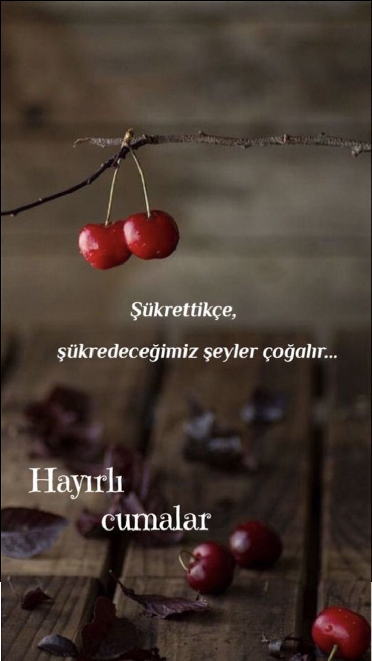 two cherries hanging from a branch with the caption, sukraretike