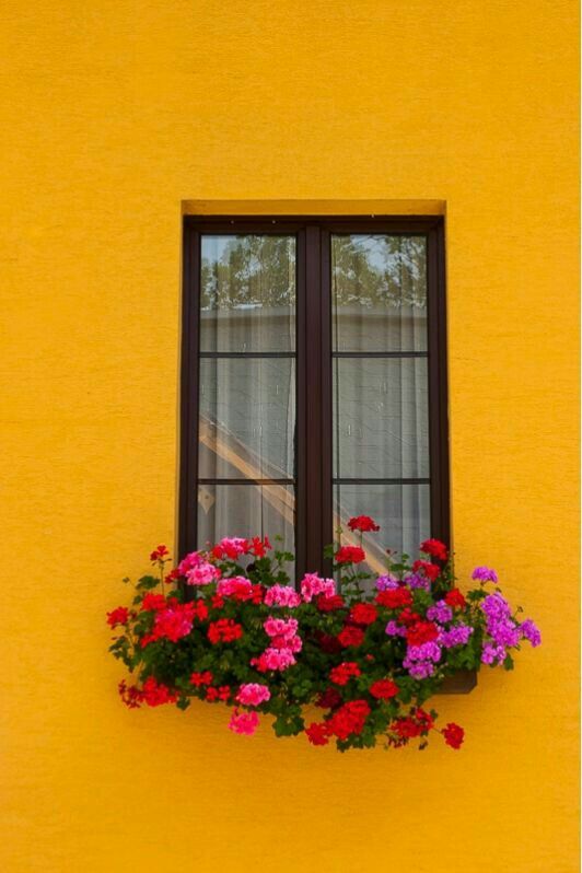 a window box filled with colorful flowers next to a yellow wall