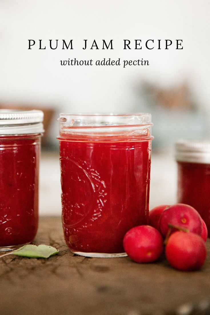 plum jam recipe without added pectin in jars with fresh fruit on the side