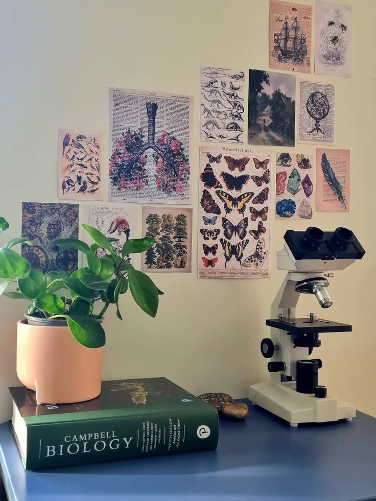 a microscope and some books on a blue table in front of a wall with pictures