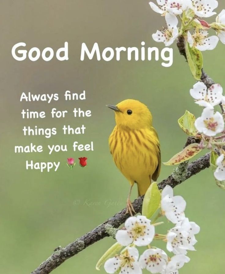 a yellow bird sitting on top of a tree branch with white flowers in the background